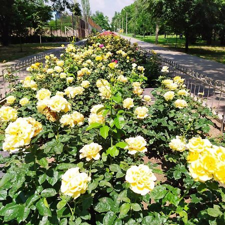 1-Комн. Квартира В Центре Возле Козак Палаца! Zaporizhia Extérieur photo