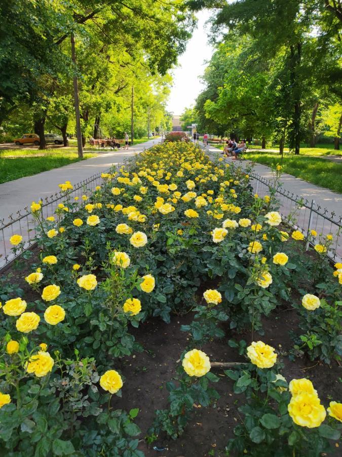 1-Комн. Квартира В Центре Возле Козак Палаца! Zaporizhia Extérieur photo